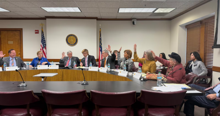 Georgia state senators